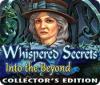 Whispered Secrets: Into the Beyond Collector's Edition igra