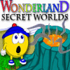 Wonderland Secret Worlds igra 