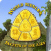World Riddles: Secrets of the Ages igra 